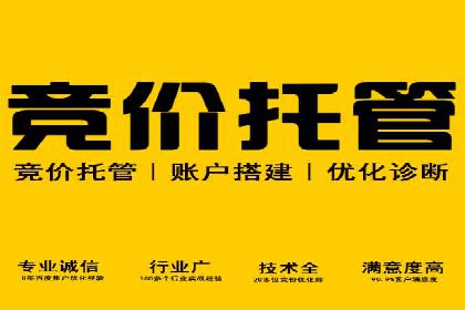 SEM专员的角色与成功案例解析